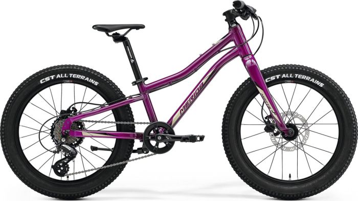 Велосипед дитячий 20" MERIDA MATTS J.20+ Purple Black Champagne